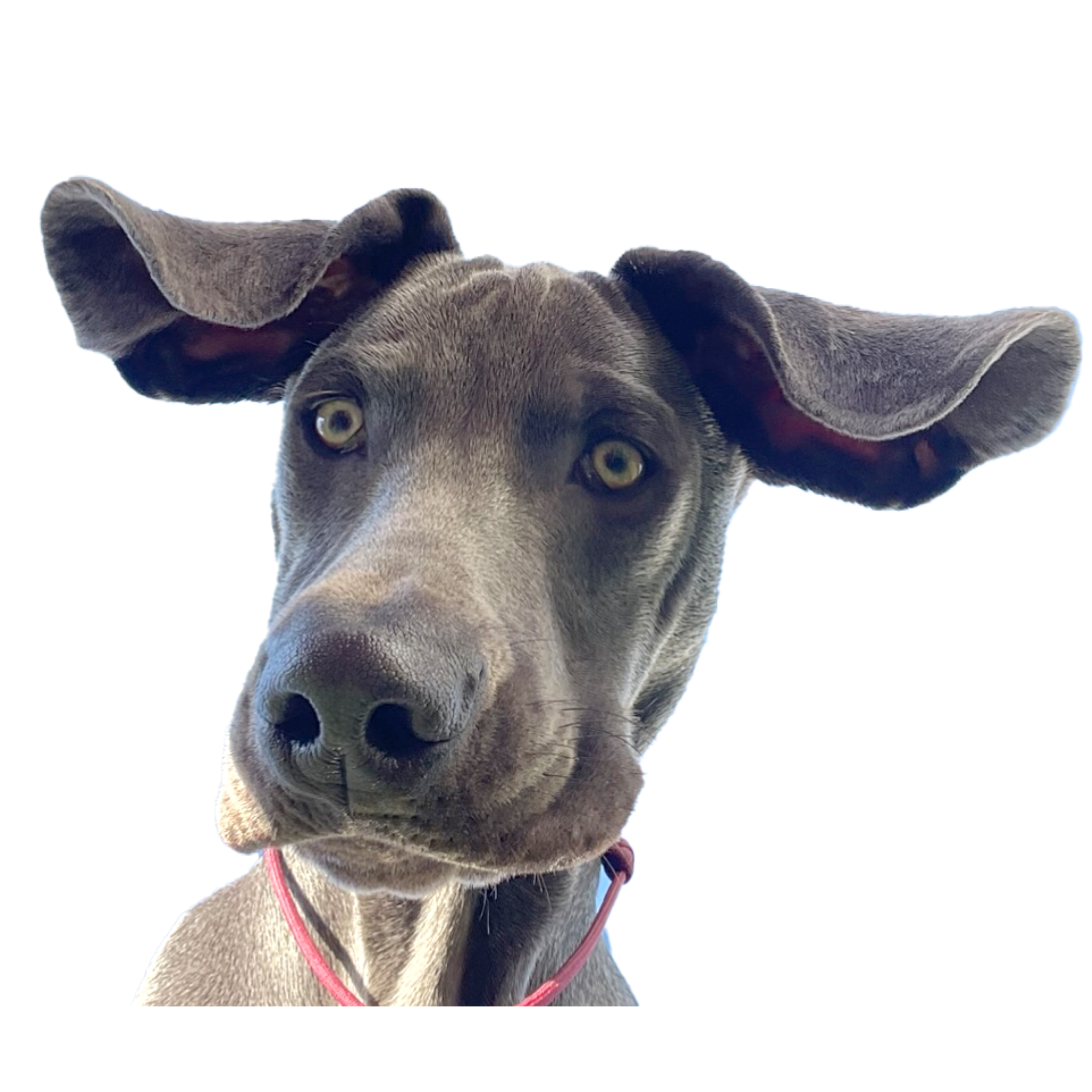 Raum der Führung und Verbindung